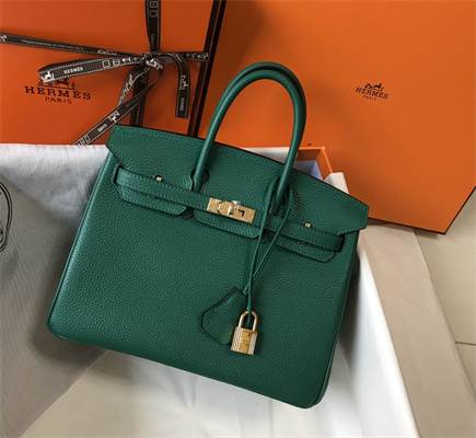 Bir.kin Bag Calfskin Leather 25/30/35CM Gold/Silver Hardware In Vert Vertigo Color