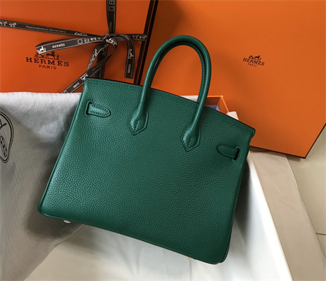 Bir.kin Bag Calfskin Leather 25/30/35CM Gold/Silver Hardware In Vert Vertigo Color