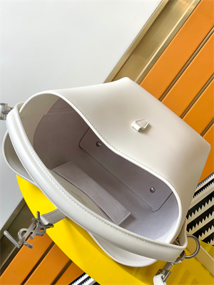 Y.S.L LE 37 SMALL In White Shinny Leather Bucket Bag