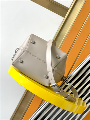 Y.S.L LE 37 SMALL In Lt Beige Shinny Leather Bucket Bag