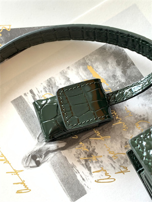 Y.S.L SAC DE JOUR NANO In Dk Green Crocodile Embossed Leather Silver Tone Metal