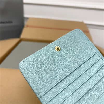 Le Cagole Compact Zippy Wallet In Goatskin Aqua Green Color