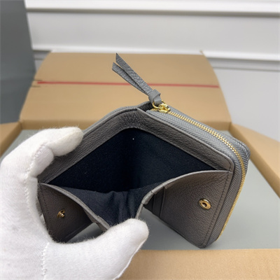 Le Cagole Compact Zippy Wallet In Goatskin Grey Color