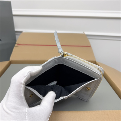 Le Cagole Compact Zippy Wallet In Arena Lambskin Lt Grey Color