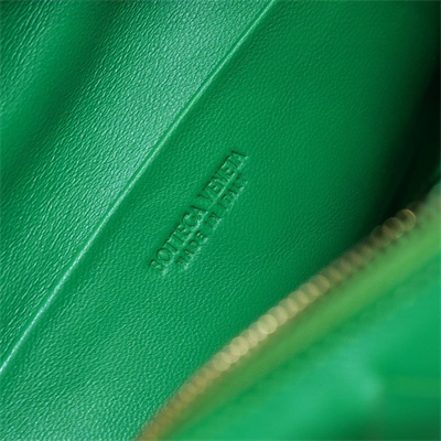 BV Small Loop Camera Bag In Lambskin Leather Parakeet Color