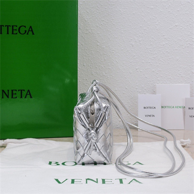 BV Mini Loop Camera Bag In Lambskin Leather Silver Color