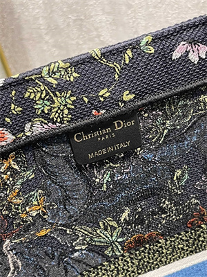 CD Large Book Tote D-Constellation Embroidery Black Multicolor