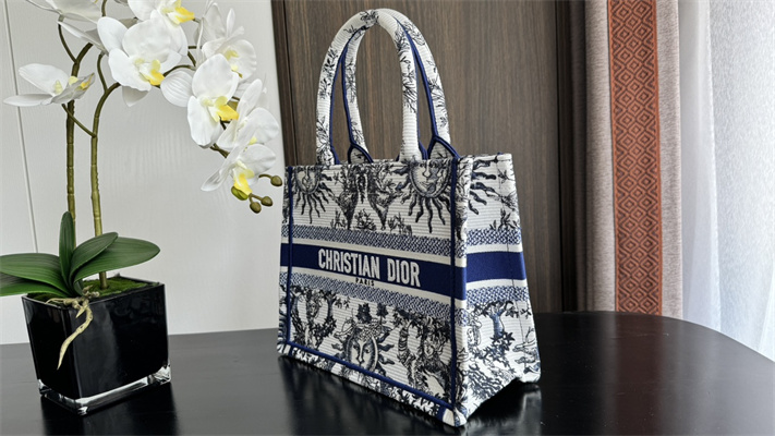 CD Small Book Tote White and Navy Toile de Jouy Solei Embroidery