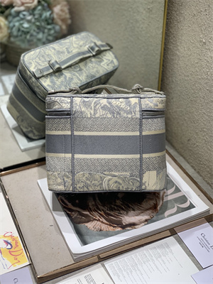 CD TRAVEL VANITY CASE Toile de Jouy Embroidery Grey