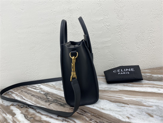 Ce**e nano luggage bag in black smooth calfskin gold tone metal