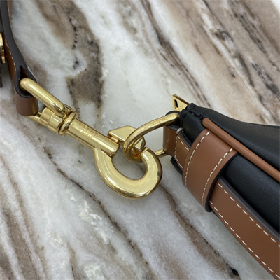 Ce**e medium ava strap bag in smooth calfskin black