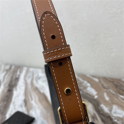 Ce**e ava bag in triomphe canvas and calfskin tan