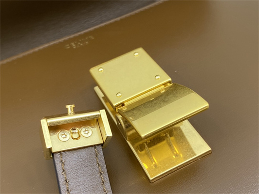 Ce**e teen classic box bag in brown box calfskin leather