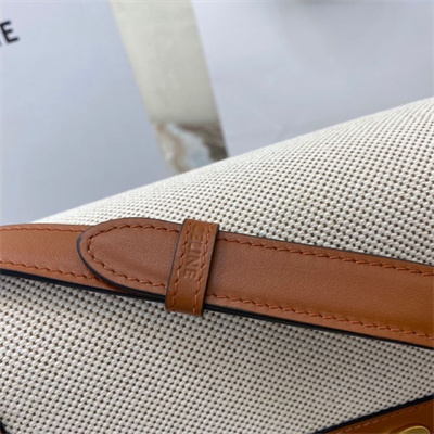 Ce**e classique triomphe bag in textile and calfskin nature/tan