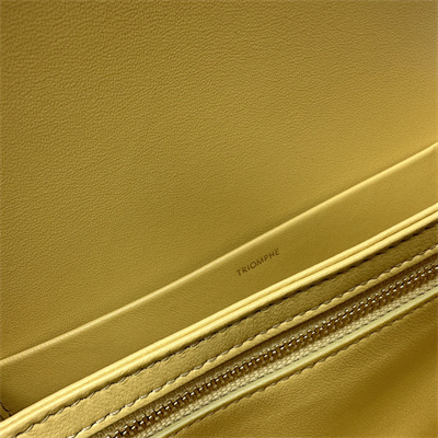 Ce**e classique triomphe bag in shiny calfskin pollen color