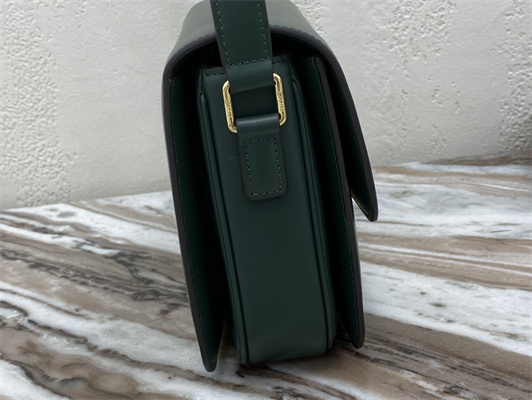 Ce**e classique triomphe bag in shiny calfskin amazone color