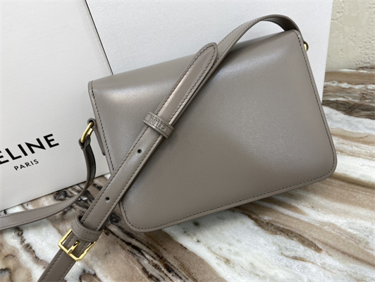 Ce**e teen triomphe bag in shiny calfskin grey color