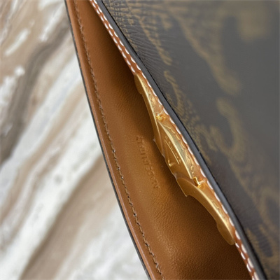 Ce**e teen triomphe bag in triomphe canvas and calfskin tan