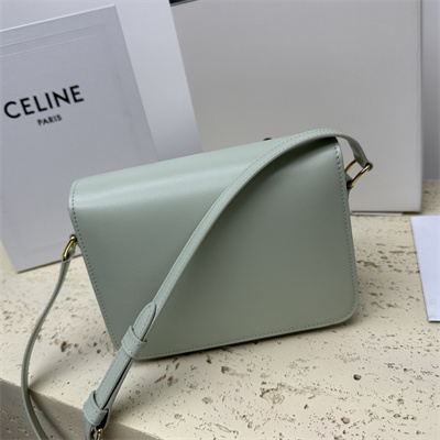 Ce**e teen triomphe bag in shiny calfskin pale green color