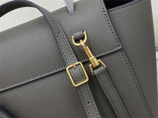 Ce**e nano belt bag in grey grained calfskin