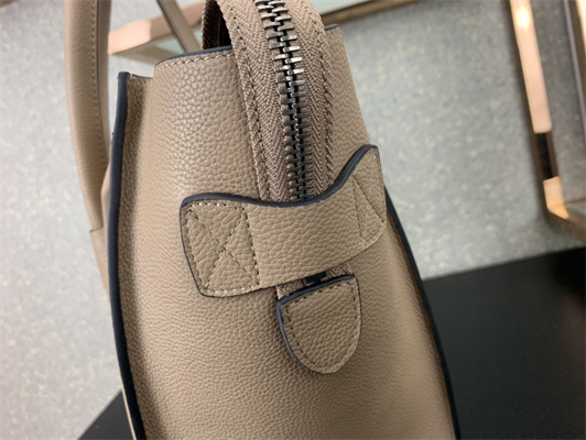 Ce**e micro luggage bag in dune drummed calfskin silver tone metal