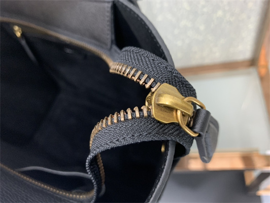 Ce**e micro luggage bag in black drummed calfskin gold tone metal