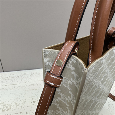 Ce**e mini vertical cabas in triomphe canvas and calfskin greige