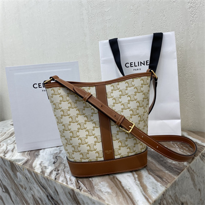 Ce**e small bucket in triomphe canvas and calfskin white