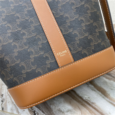 Ce**e small bucket in triomphe canvas and calfskin tan