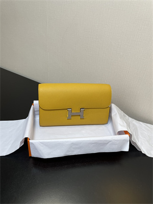 Constance To Go Wallet Epsom Leather Silver Tone Metal In Jaune Amber Color HS