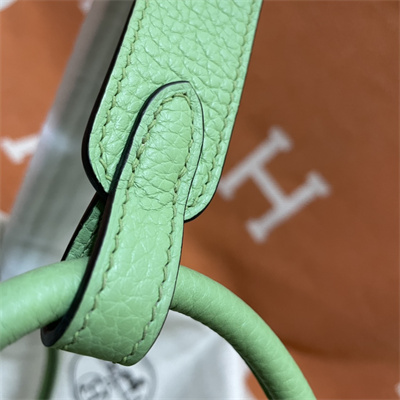 Lindy Bag Taurillon Clemence Leather 26/30CM Silver Tone Metal In Vert Criquet Color HS