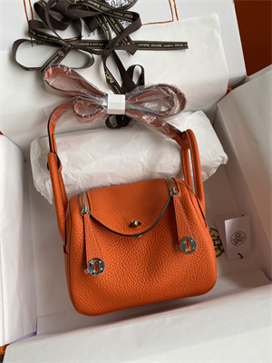 Lindy Mini Bag Taurillon Clemence Leather Gold/Silver Tone Metal In Orange Color HS