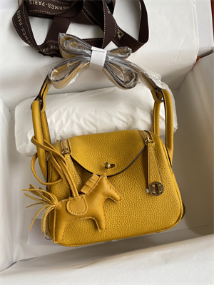 Lindy Mini Bag Taurillon Clemence Leather Gold/Silver Tone Metal In Jaune Amber Color HS