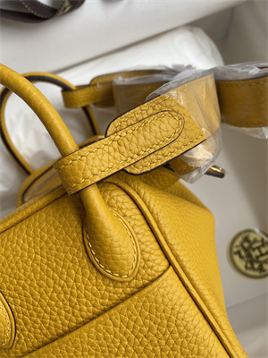 Lindy Mini Bag Taurillon Clemence Leather Gold/Silver Tone Metal In Jaune Amber Color HS