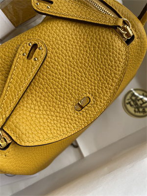 Lindy Mini Bag Taurillon Clemence Leather Gold/Silver Tone Metal In Jaune Amber Color HS