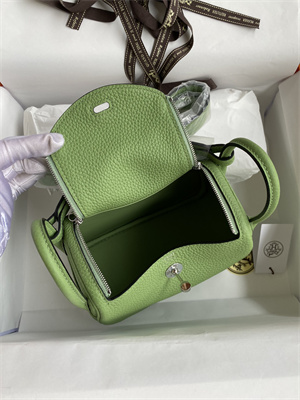 Lindy Mini Bag Taurillon Clemence Leather Gold/Silver Tone Metal In Vert Criquet Color HS