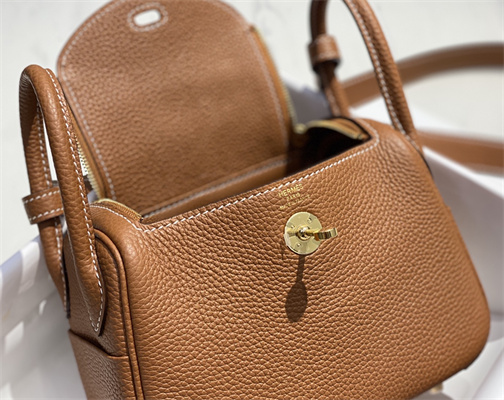 Lindy Mini Bag Calfskin Leather Gold/Silver Tone Metal In Gold Color