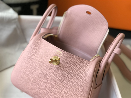 Lindy Mini Bag Calfskin Leather Gold/Silver Tone Metal In Rose Confetti Color