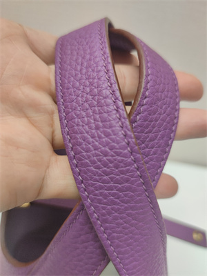 Picotin Lock Bag Togo Leather 18/22CM Gold/Silver Tone Metal In Anemone Color HS