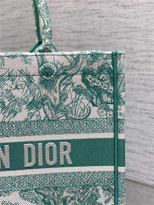 CD Medium Book Tote Toile de Jouy Embroidery Green