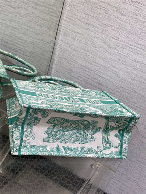 CD Medium Book Tote Toile de Jouy Embroidery Green