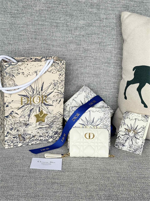 cd caro zippy card holder S*pple cannage calfskin white color s5034