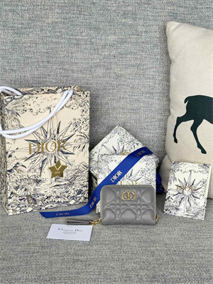 cd caro zippy card holder S*pple cannage calfskin grey color s5034