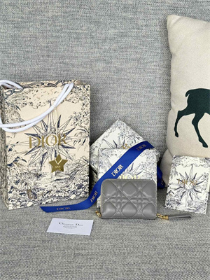 cd caro zippy card holder S*pple cannage calfskin grey color s5034