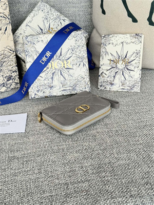 cd caro zippy card holder S*pple cannage calfskin grey color s5034