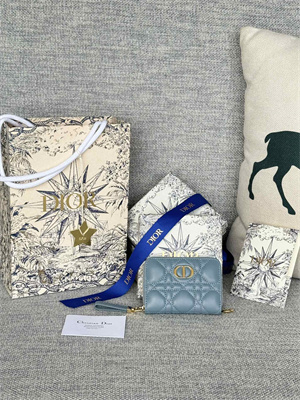 cd caro zippy card holder S*pple cannage calfskin blue color s5034