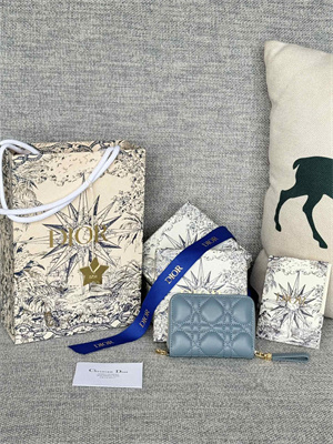 cd caro zippy card holder S*pple cannage calfskin blue color s5034