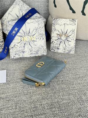 cd caro zippy card holder S*pple cannage calfskin blue color s5034