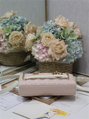 CD Medium Lady D-Joy Bag Two Tones Cannage Lambskin Gold Tone Metal Pink and Latte