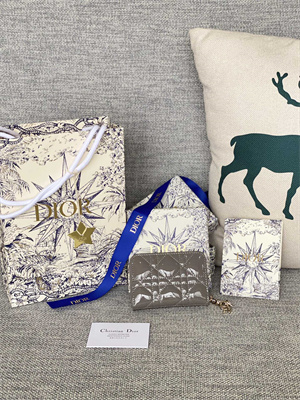 cd  voyageur small  coin purse S*pple cannage patent calfskin grey s0985